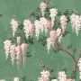 Wisteria Wallpaper Pink Green