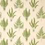 Woodland Ferns Fabric