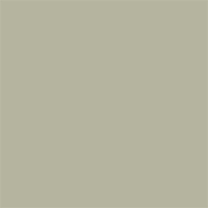 Sanderson Paint - Driftwood Grey Light