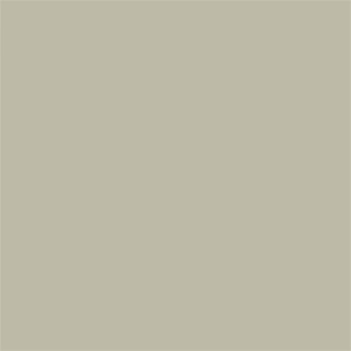 Sanderson Paint - Mushroom Grey Light