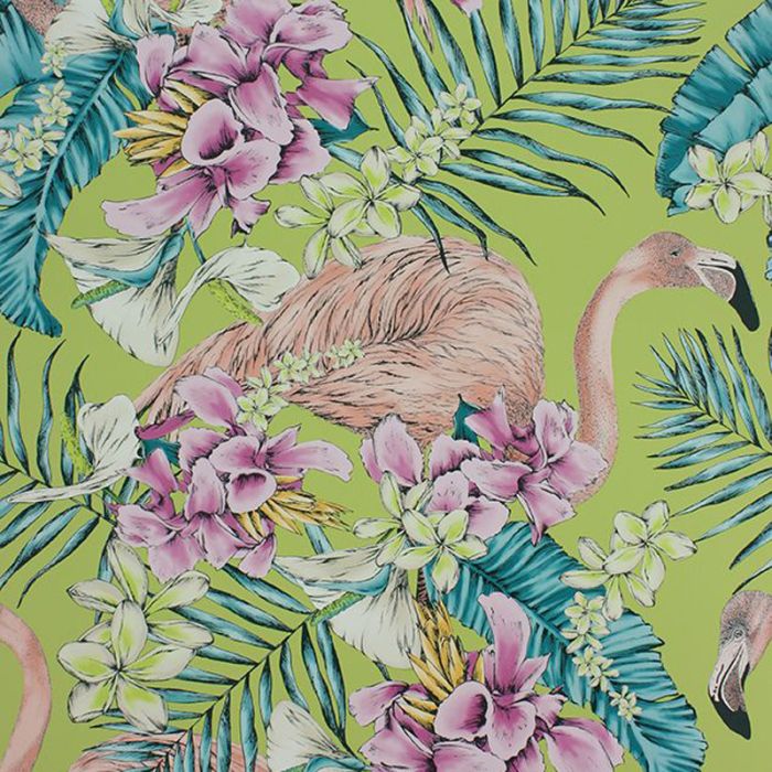 Flamingo Club Wallpaper