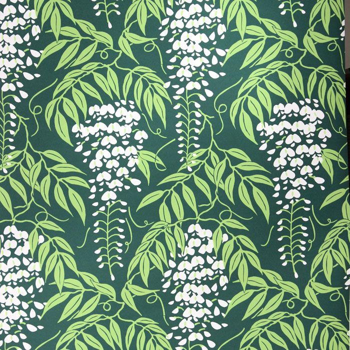 Wisteria Flower Wallpaper