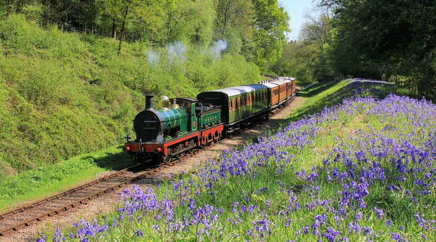 Great Days out Sussex Kids Activities Sussex