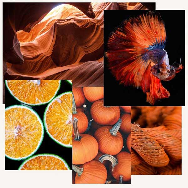 Orange Colour Inspiration Collage Orange Interior Design Ideas