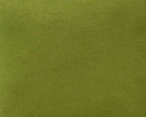 Green Velvet Fabric