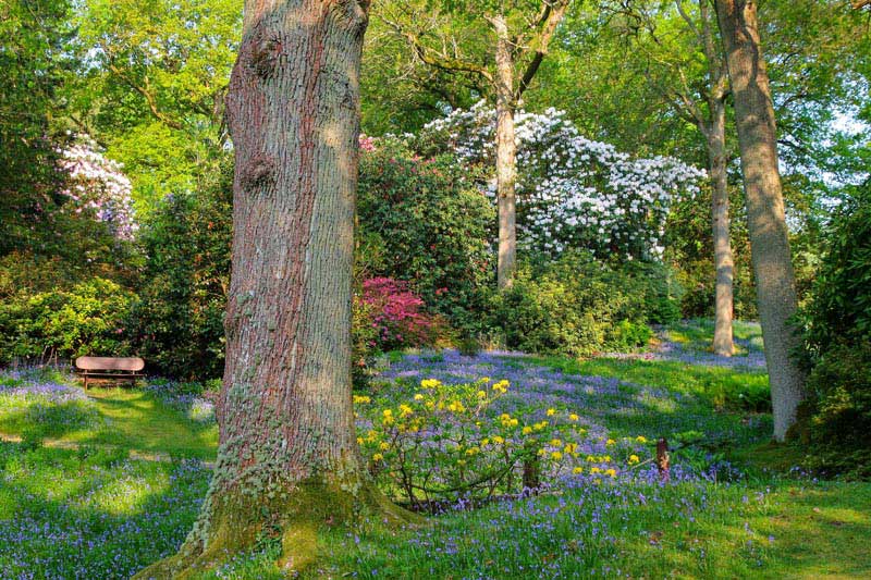 High Beeches Garden West Sussex