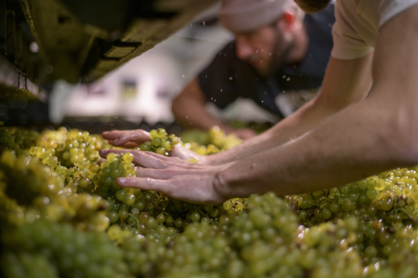Wine Tours West Sussex