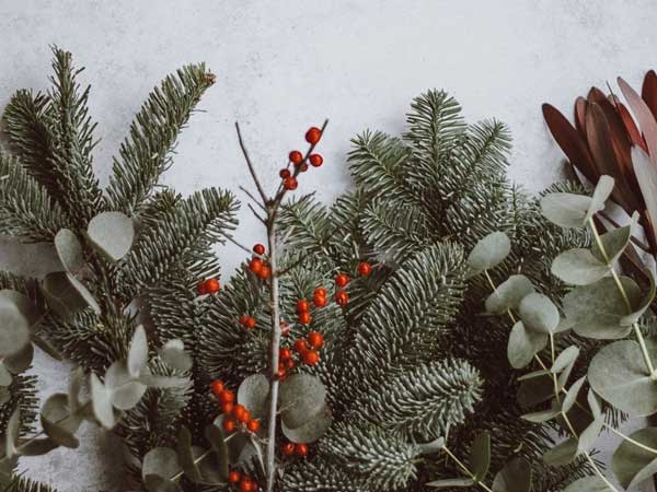 Making the Most of Seasonal Foliage and Florals this Christmas